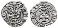 denar 1384-1385, mennica Székesfehérvár, Aw: Pod