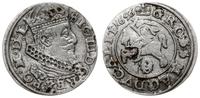 grosz 1626, Wilno, brązowy nalot na fragmentach 