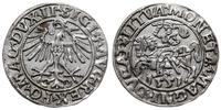 Polska, półgrosz, 1551