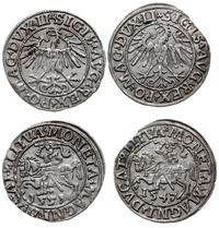 Polska, zestaw: 2 x półgrosz, 1547, 1551