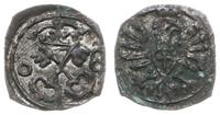 denar 1608, Poznań, skrócona data 0-8, ładny i r