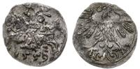 denar 1559, Wilno, bardzo ładny, Kop. 3217 (R3),