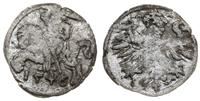 denar 1546, Wilno, ogon Pogoni opuszczony, rzadk