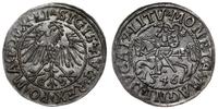 Polska, półgrosz, 1546