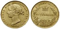 1 suweren (funt)  1859, Sydney, złoto 7.99 g, rz