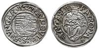 denar 1521 KA, bardzo ładny, Huszar 841