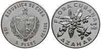 5 pesos 1981, kubański kwiat - Azahar, srebro pr