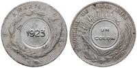 1 colon 1880 (1923), wybity na monecie o nominal