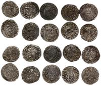 zestaw 10 x denar, denary z lat: 1526 - Ludwik J