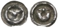 brakteat XIII-XIV w., Łeb wołu na wprost, srebro