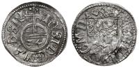 Prusy Książęce 1525-1657, grosz, 1615