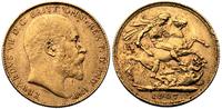1 funt 1907/P, złoto 7.98 g