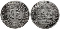 tymf 1664 AT, Bydgoszcz, moneta czyszczona, wyłu