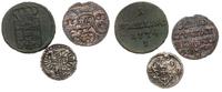 zestaw monet, Stefan Batory 1576-1586 denar 1579