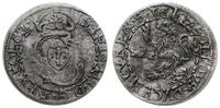 szeląg 1607, Mitawa, moneta z tytulaturą Zygmunt