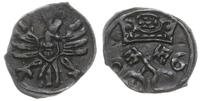 denar 1606, Poznań, skrócona data 0-6, ciemna pa