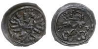 denar 1607, Poznań, skrócona data 0-7, ciemna pa