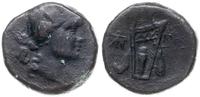 brąz 100-70 pne, Pantikapea, Aw: Głowa Dionizosa
