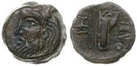 brąz III-I w. pne, Aw: Głowa Borystenesa w lewo,