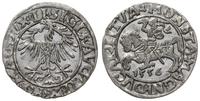 Polska, półgrosz, 1556