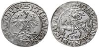 Polska, półgrosz, 1561