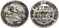 24 grosze maryjne 1789, Brunszwik, srebro 16.88 
