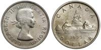 dolar 1955, Ottawa, Canoe, lekko przetate tło aw