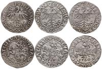 zestaw: 3 x półgrosz, Wilno, 1548, 1558, 1560, r