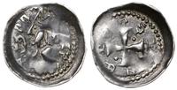 denar 1239-1260, Aw: Półpostać w lewo, w ręce pa