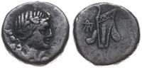 brąz ok. 100-70 pne, Aw: Głowa młodego Dionizosa
