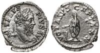 denar 202-210, Rzym, Aw: Głowa cesarza w prawo, 