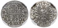 grosz 1613, Kraków, bardzo ładna moneta w pudełk