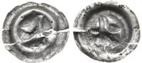 brakteat XIII-XIV w., łapa orła w lewo, srebro 0