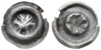 brakteat XIII-XIV w., Liść winorośli, srebro 0.1