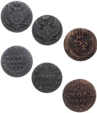 zestaw 3 monet, w skład zestawu wchodzą: 1 grosz