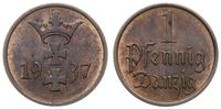 Polska, 1 pfennig, 1937