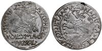 grosz 1566, Tykocin, z herbem Kolumny, na rewers