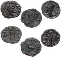 zestaw 3 monet, W skład zestawu wchodzą antonini