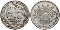 8 reali 1877 Zs.J.S, Zacatecas, srebro 26.92 g, 
