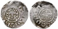 denar typu short cross 1216-1278, Aw: Głowa wład