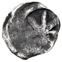 denar jednostronny XIV w, Wolin, Aw: Pół Lilii i