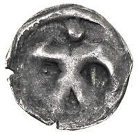 denar jednostronny XIII-XIV w, Kołobrzeg, nieokr