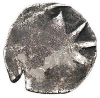 denar jednostronny XIV-XV w, Wolin, Aw: Pół gwia