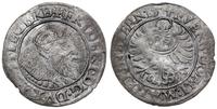 grosz 1541, Legnica, moneta głucha, gięty, rzadk