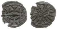 denar 1555, Elbląg, nieco wyszczerbiony, patyna,