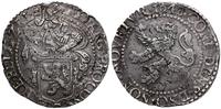 talar lewkowy (Leeuwendaalder) 1648, srebro 26.9