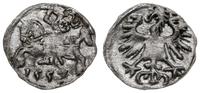 denar 1557, Wilno, Kop. 3215 (R3), Ivanauskas 2S