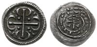 denar 1204-1205, Aw: Krzyż, na którego końcach p