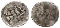 fenig jednostronny 1460-1468, srebro 0.43 , Cast