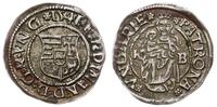 denar 1541 KB, Kremnica, srebro 0.46 g, patyna, 